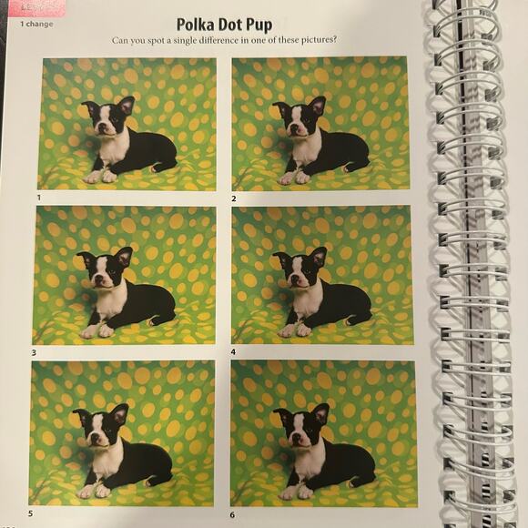 Doggy Game Fun! - Picture 7 of 10